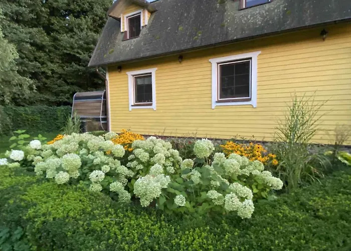 Siedlisko * Lubowidz (Pomerania)